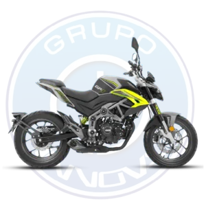 Frente de la motocicleta Daytona DY250 GP-1 2026