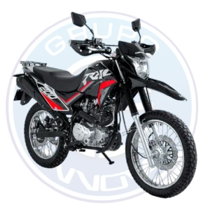 Motocicleta Motor 1 Trail 200ZS 2026 200cc tipo trail
