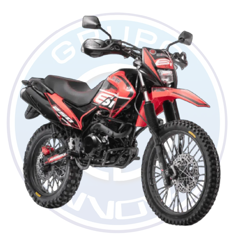 Vista lateral de la Shineray 6I-250 2026 motocicleta 250cc