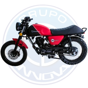 Sistema de freno delantero disco Dukare DK200 Lemans 200cc