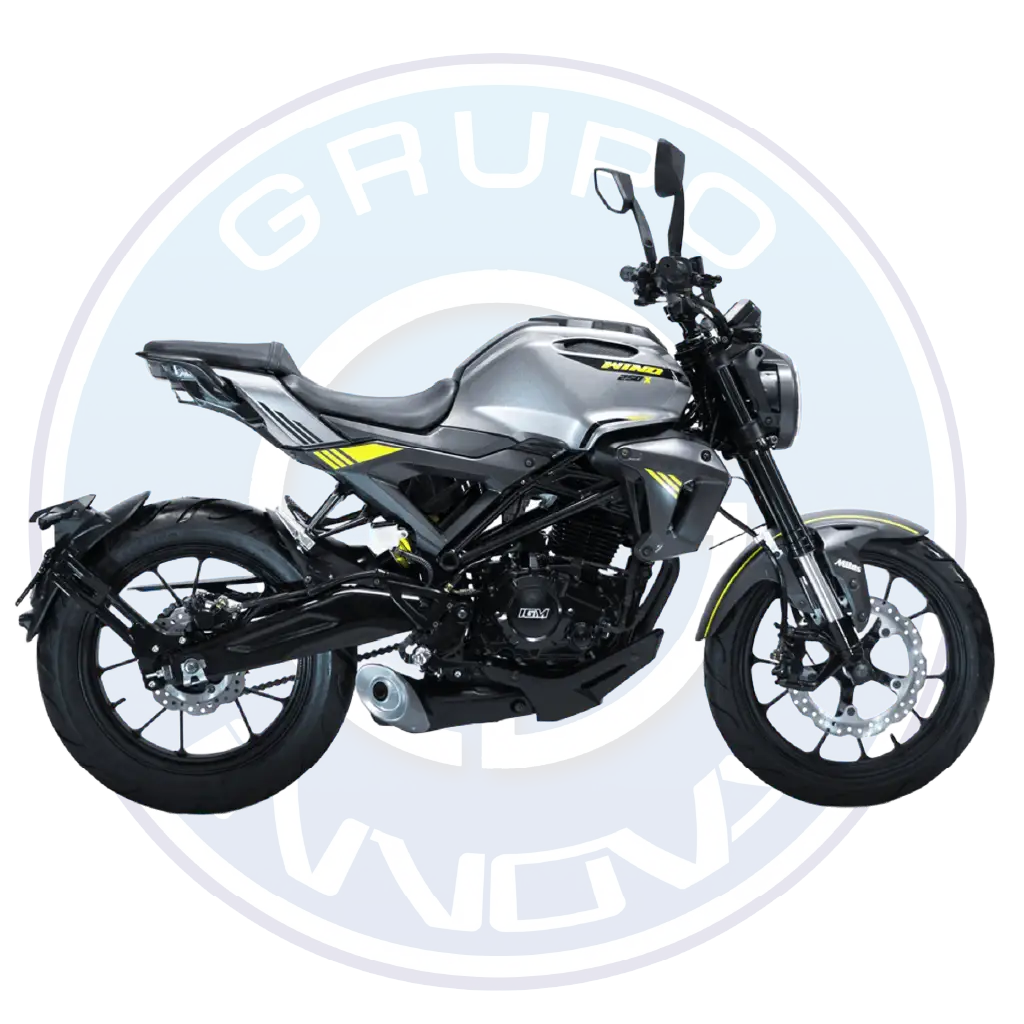 Moto IGM Wind 250X 2025 250cc color azul vista frontal