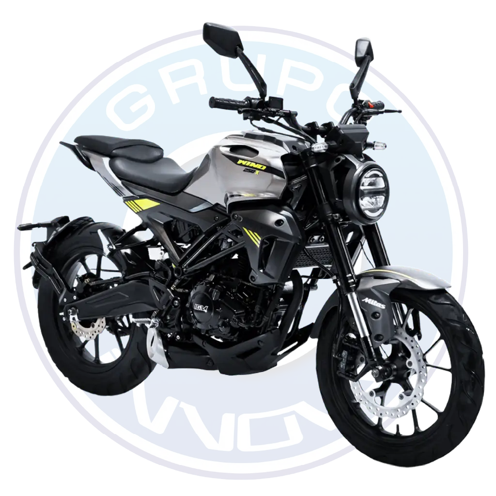 Motocicleta IGM Wind 250X 2025 color negro 250cc vista lateral