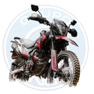 Vista completa de la Qingqi QM250GY 2026 en color negro