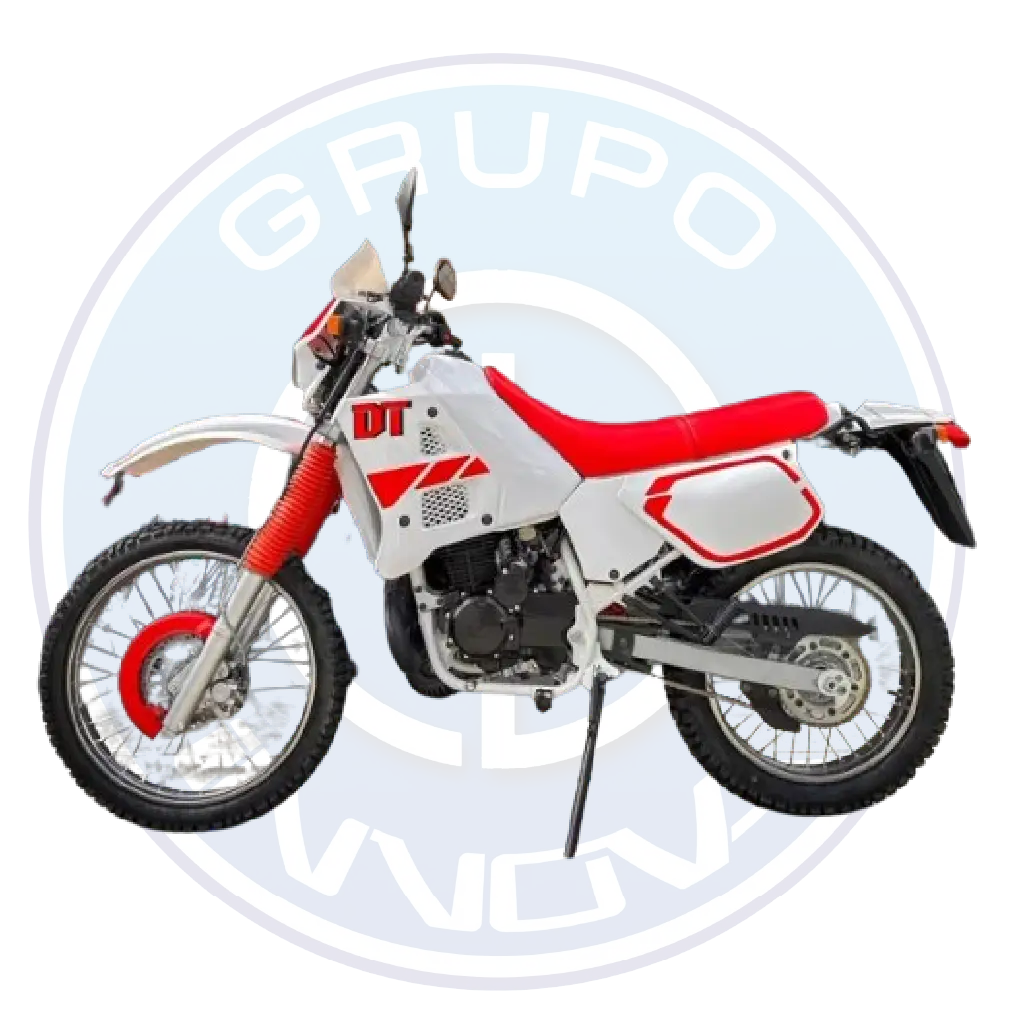 Factory Bike Dirt Track 2025 150cc vista frontal