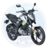 IGM Wind 200 2026 200cc vista frontal