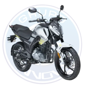 IGM Wind 200 2026 200cc vista frontal