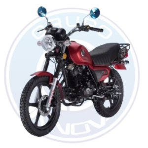 Motor de 169.8 cc de la Shineray GN-X 2027