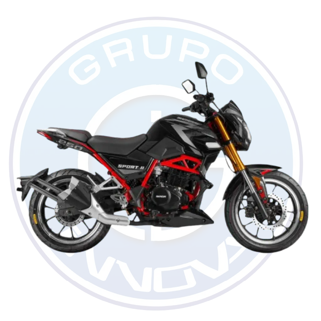Motor de 249 cc de la Shineray Super Sport 4V 2027