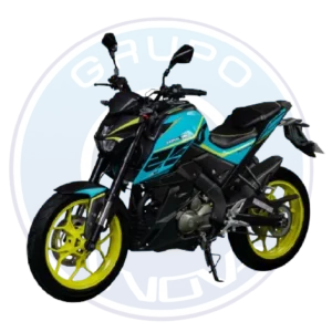 Motor de 250 cc de la Tuko TK Eclipse 2027