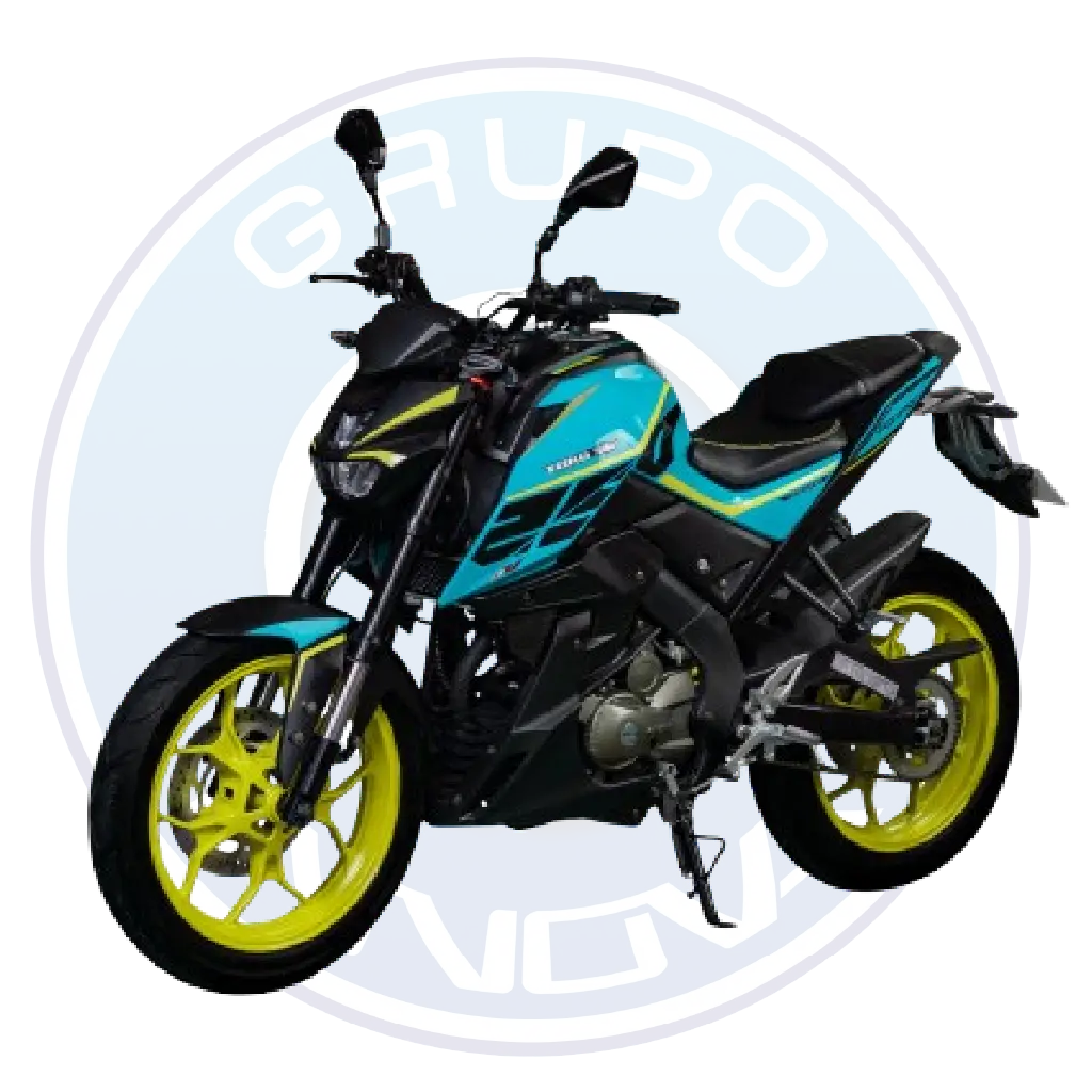 Motor de 250 cc de la Tuko TK Eclipse 2027